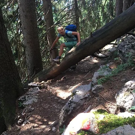 Willms Am Gaisberg Apartman Kirchberg in Tirol