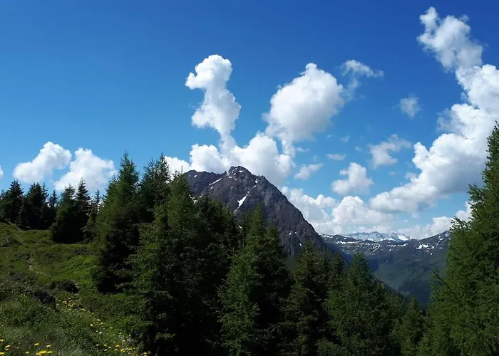 Lägenhet Willms Am Gaisberg Kirchberg in Tirol
