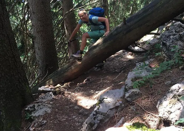 Willms Am Gaisberg Lägenhet Kirchberg in Tirol
