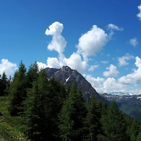 Apartment Willms Am Gaisberg Kirchberg in Tirol