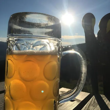 Willms Am Gaisberg *